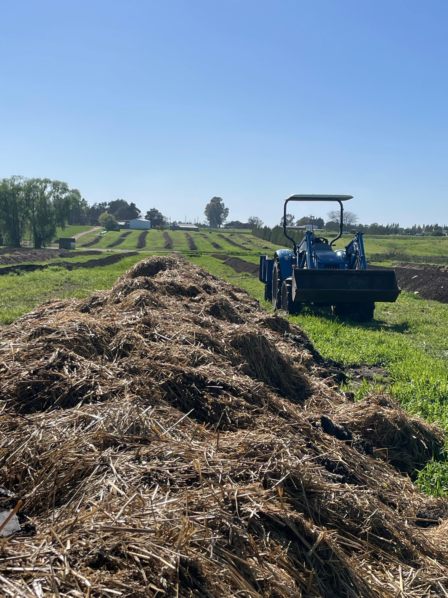 Producción en campo y compostaje